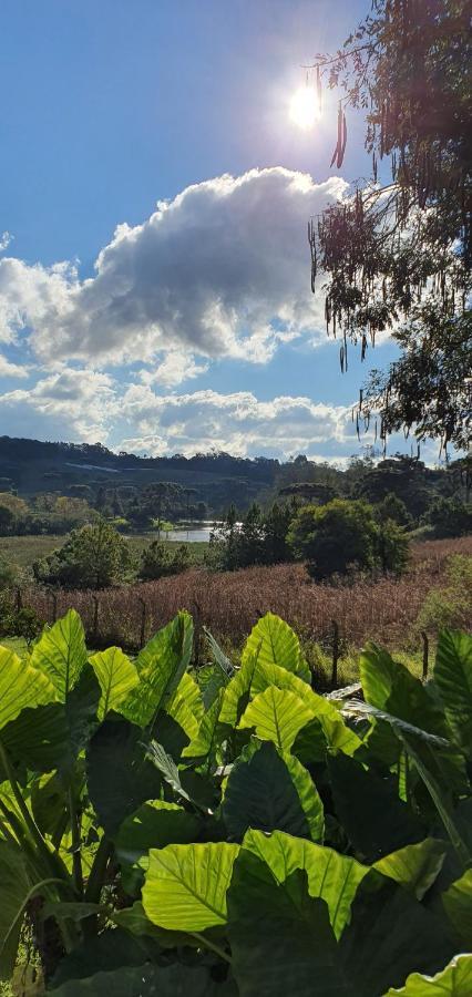 Вилла Loft No Campo Proximo Ao Vale Dos Vinhedos Гарибалди Экстерьер фото