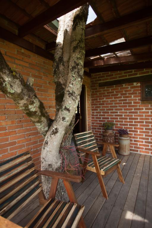 Вилла Loft No Campo Proximo Ao Vale Dos Vinhedos Гарибалди Экстерьер фото